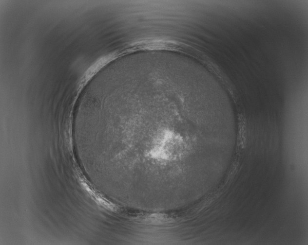 X0000085250986200703161247