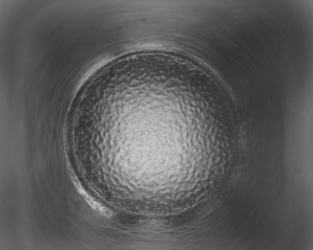 X0000085250991200703161247