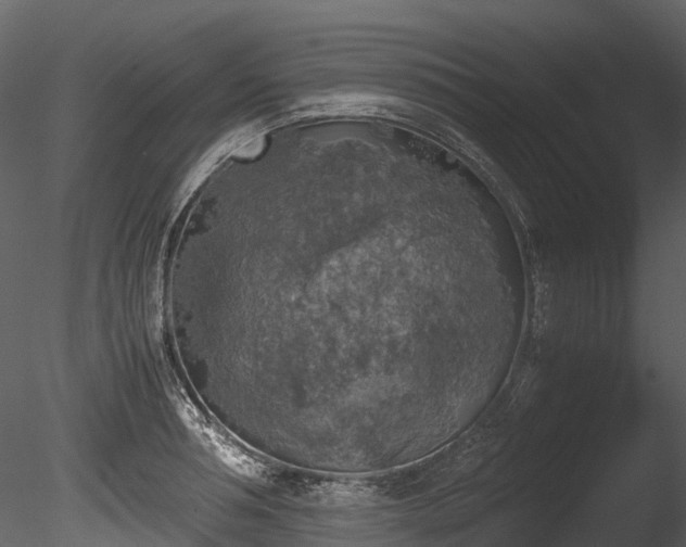 X0000085250994200703161247