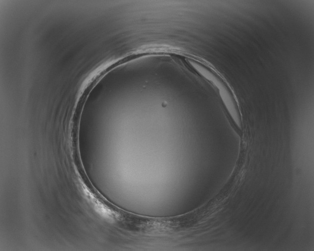 X0000085250995200703161247