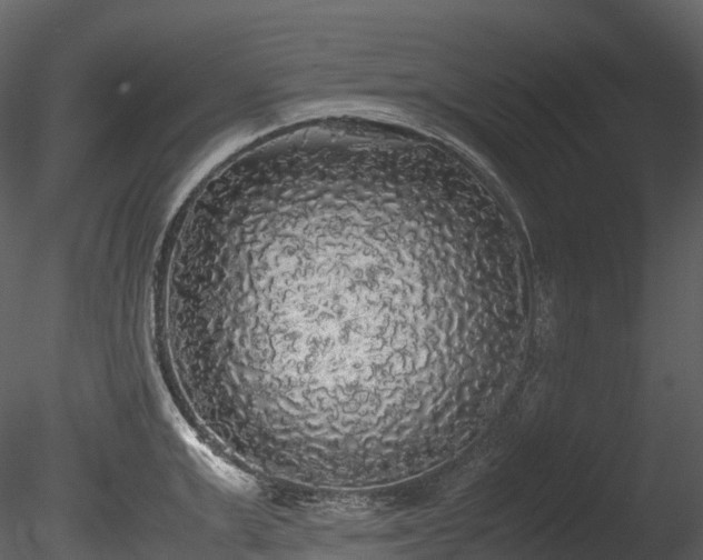 X0000085250999200703161247