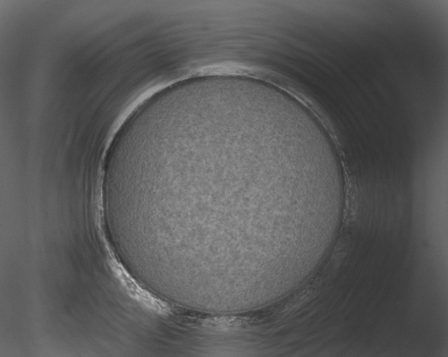 X0000085251000200703161247