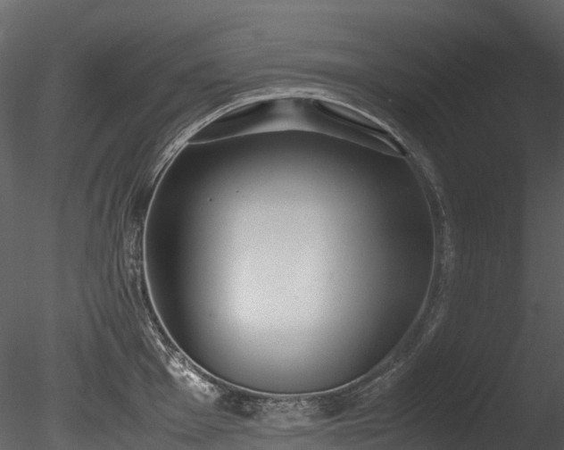 X0000085251001200703161247