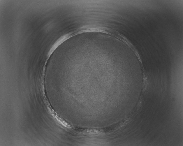 X0000085251002200703161247