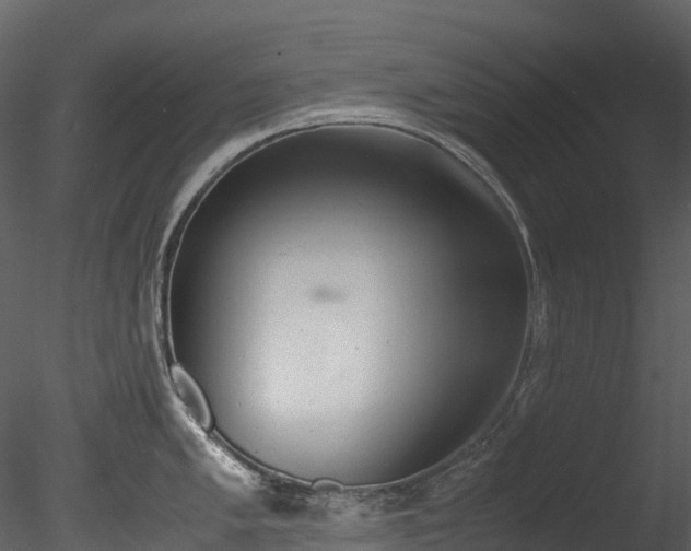 X0000085251005200703161247