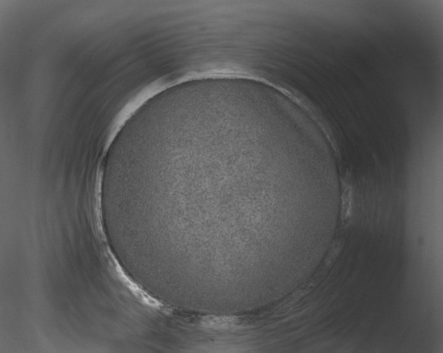 X0000085251006200703161247