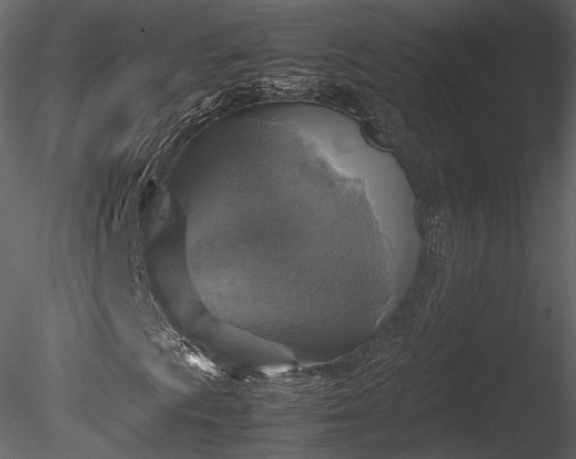 X0000085251009200703161246