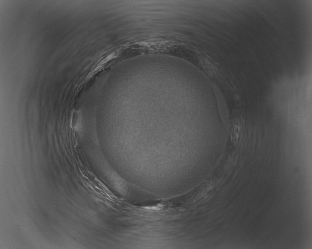 X0000085251010200703161246