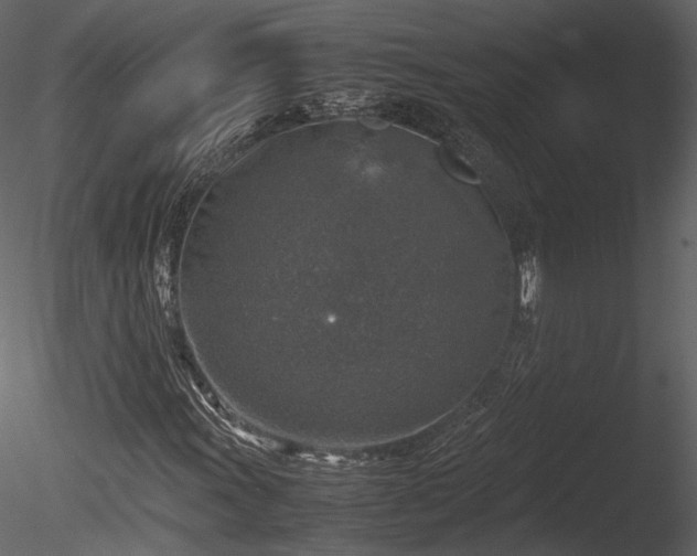 X0000085251011200703161246