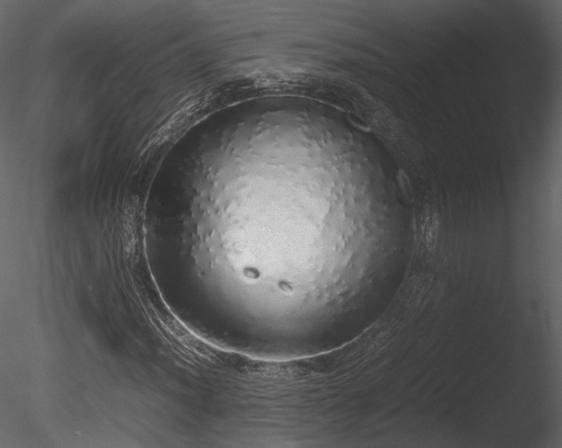 X0000085251012200703161246