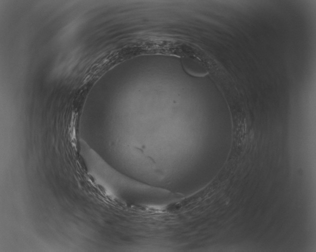 X0000085251013200703161246