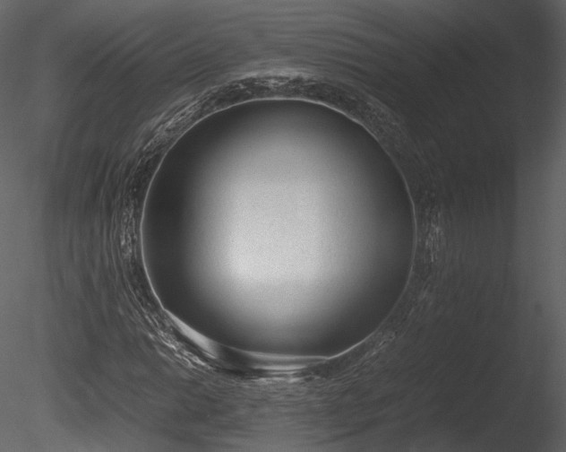 X0000085251014200703161246