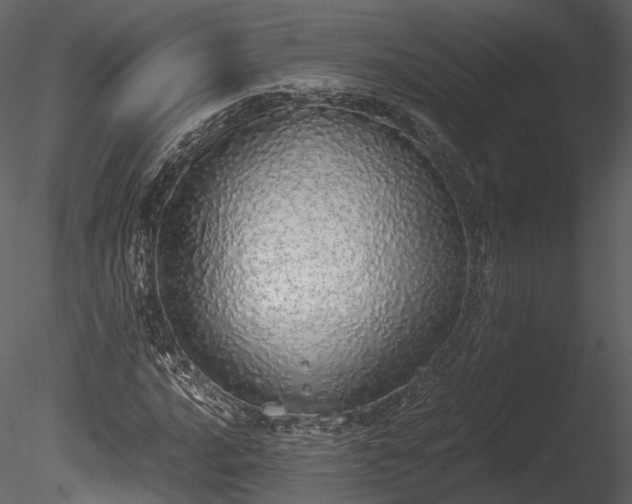 X0000085251016200703161246