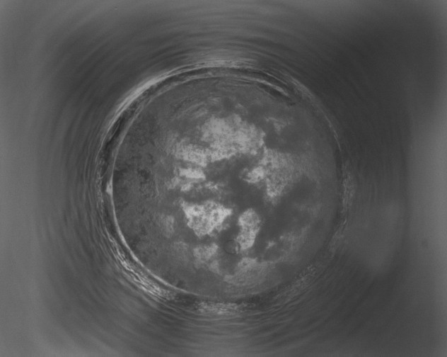 X0000085251019200703161246