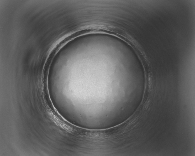 X0000085251020200703161246