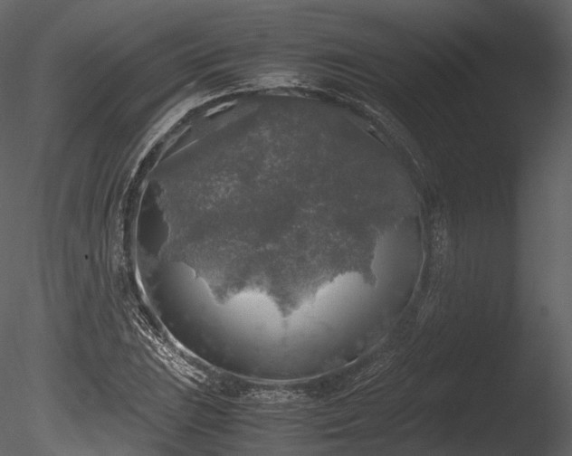 X0000085251023200703161246