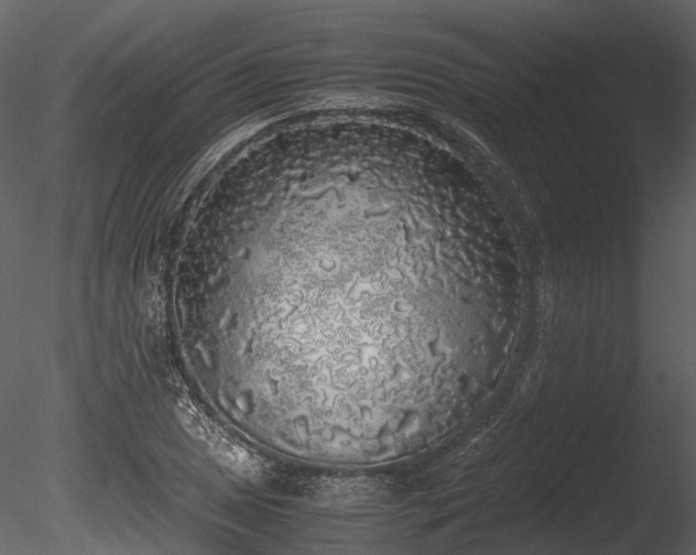 X0000085251025200703161247