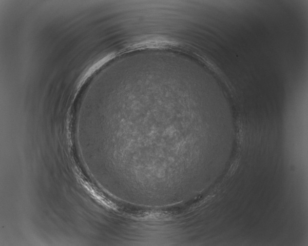 X0000085251026200703161247