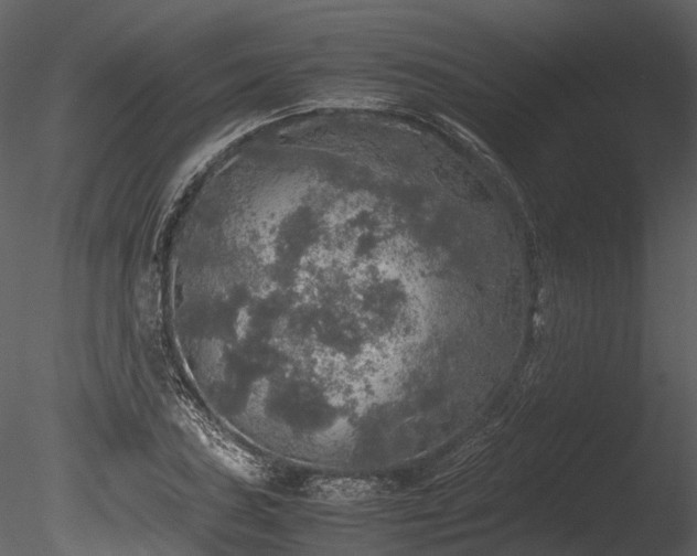 X0000085251027200703161247