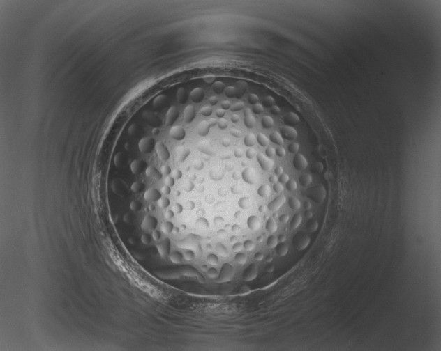 X0000085251029200703161247