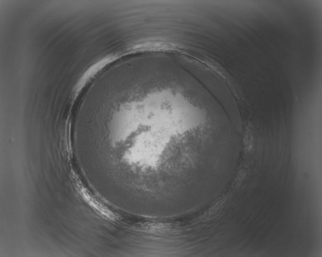 X0000085251030200703161247