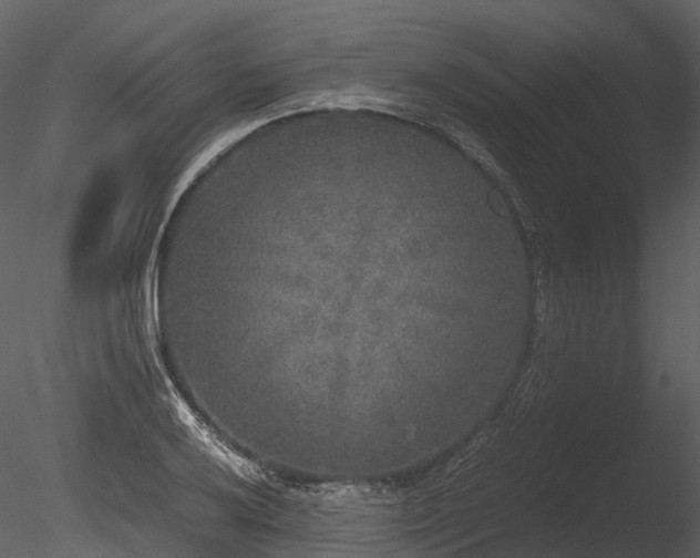 X0000085251032200703161247