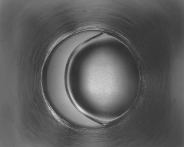 X0000085251034200703161247