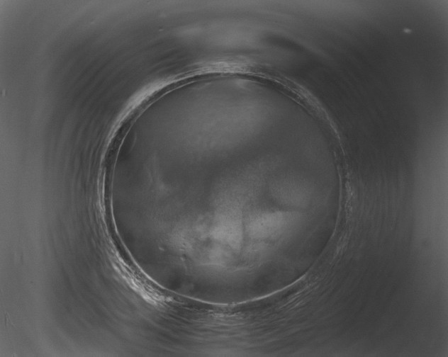 X0000085251035200703161247