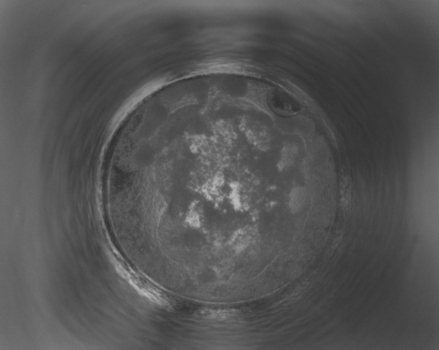 X0000085251043200703161247