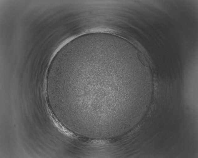 X0000085251044200703161247