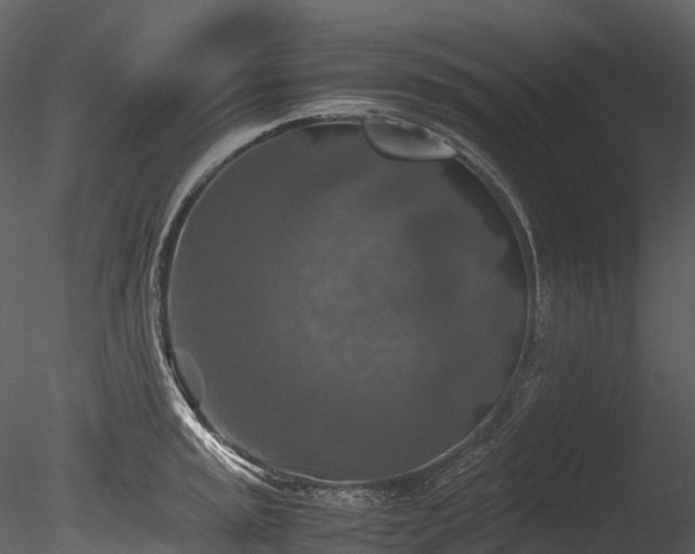 X0000085251045200703161247