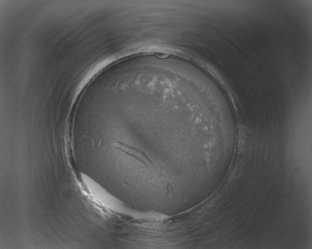 X0000085251048200703161247