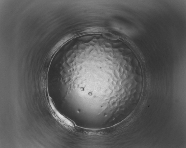 X0000085251049200703161247