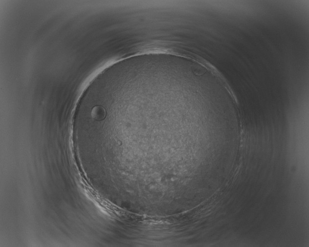 X0000085251051200703161247