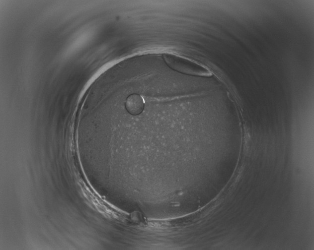 X0000085251052200703161247