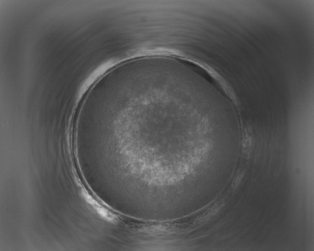 X0000085251054200703161247