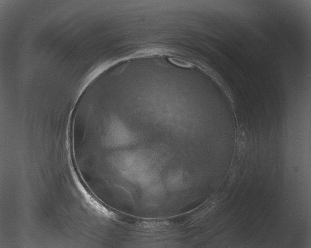 X0000085251055200703161247