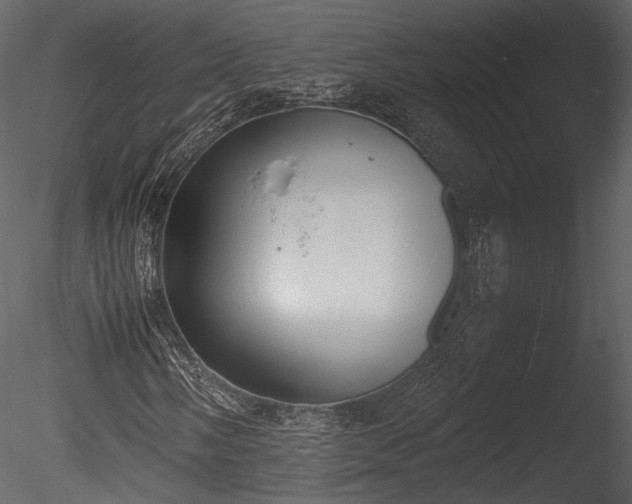 X0000085251058200703161246