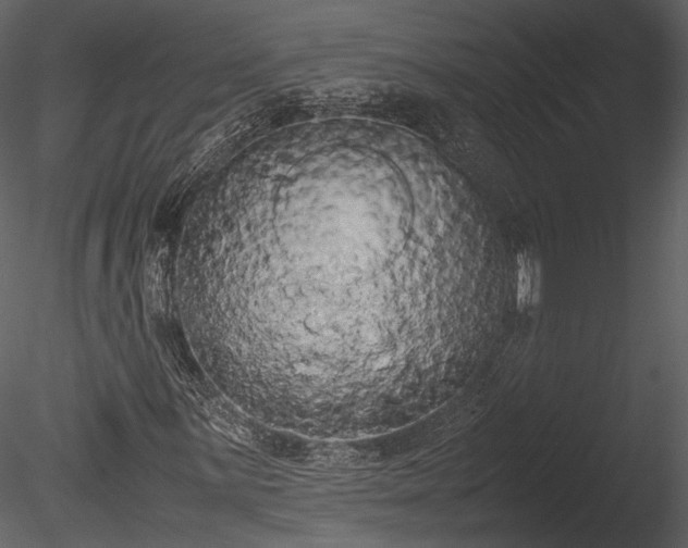 X0000085251059200703161246