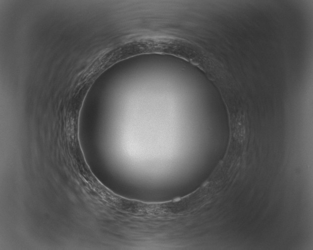 X0000085251061200703161246