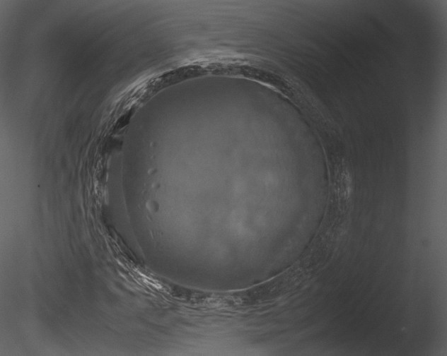 X0000085251063200703161246