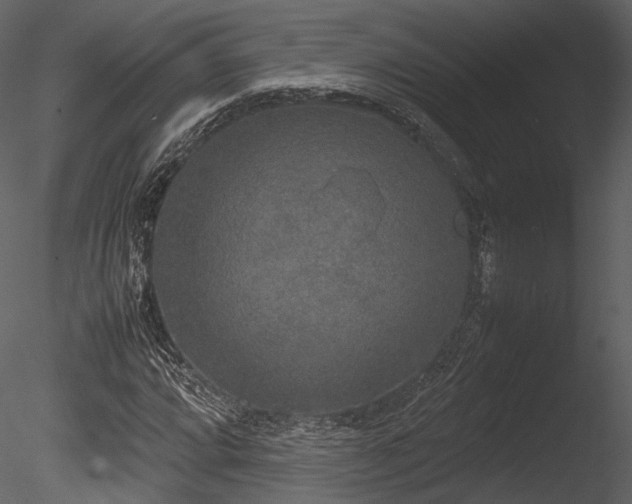 X0000085251064200703161246