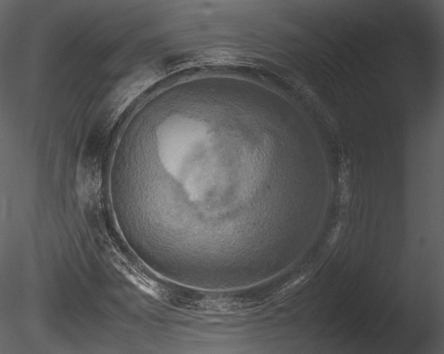 X0000085251065200703161246