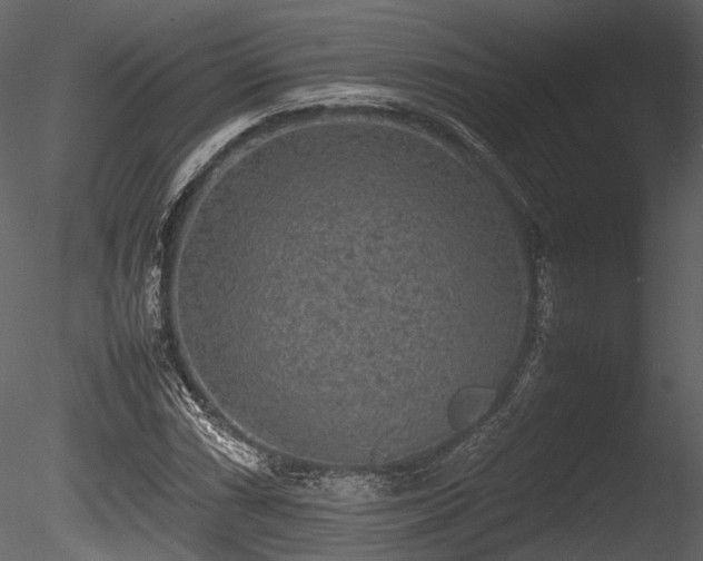 X0000085251066200703161246