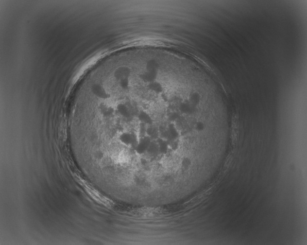 X0000085251067200703161246