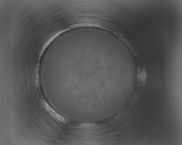 X0000085251068200703161246