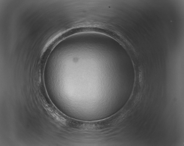 X0000085251069200703161246