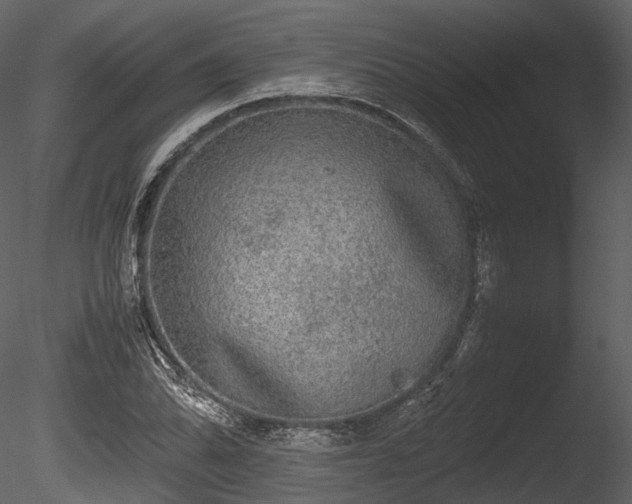 X0000085251070200703161246