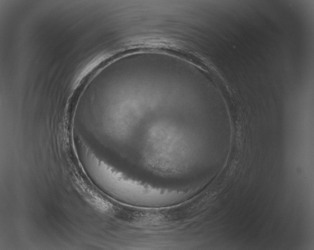 X0000085251071200703161246