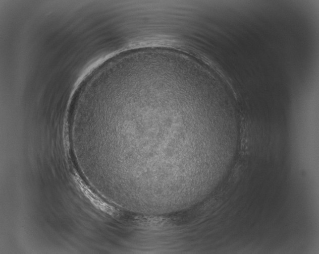 X0000085251072200703161246